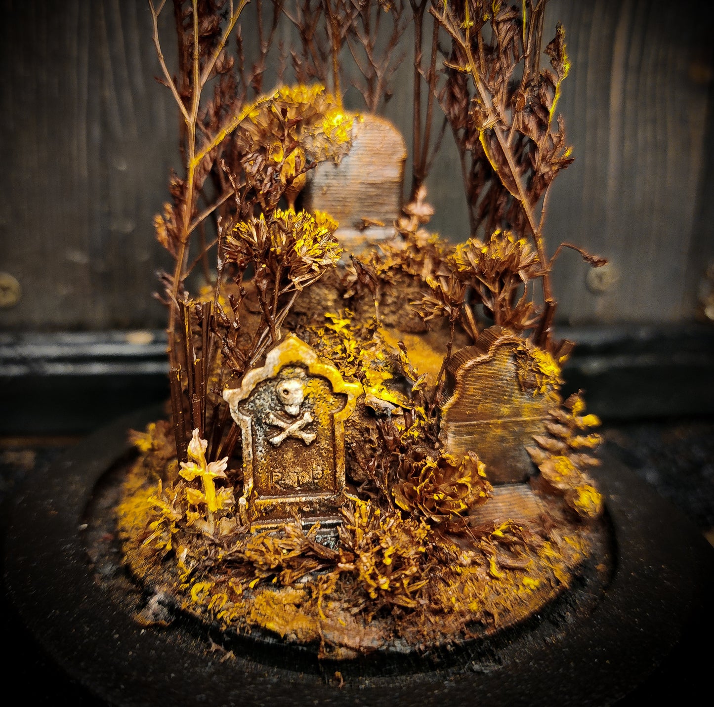 Miniature Cemetery Glass Display Dome