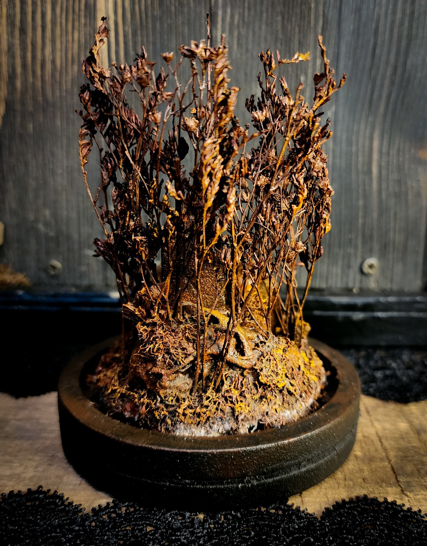 Miniature Cemetery Glass Display Dome