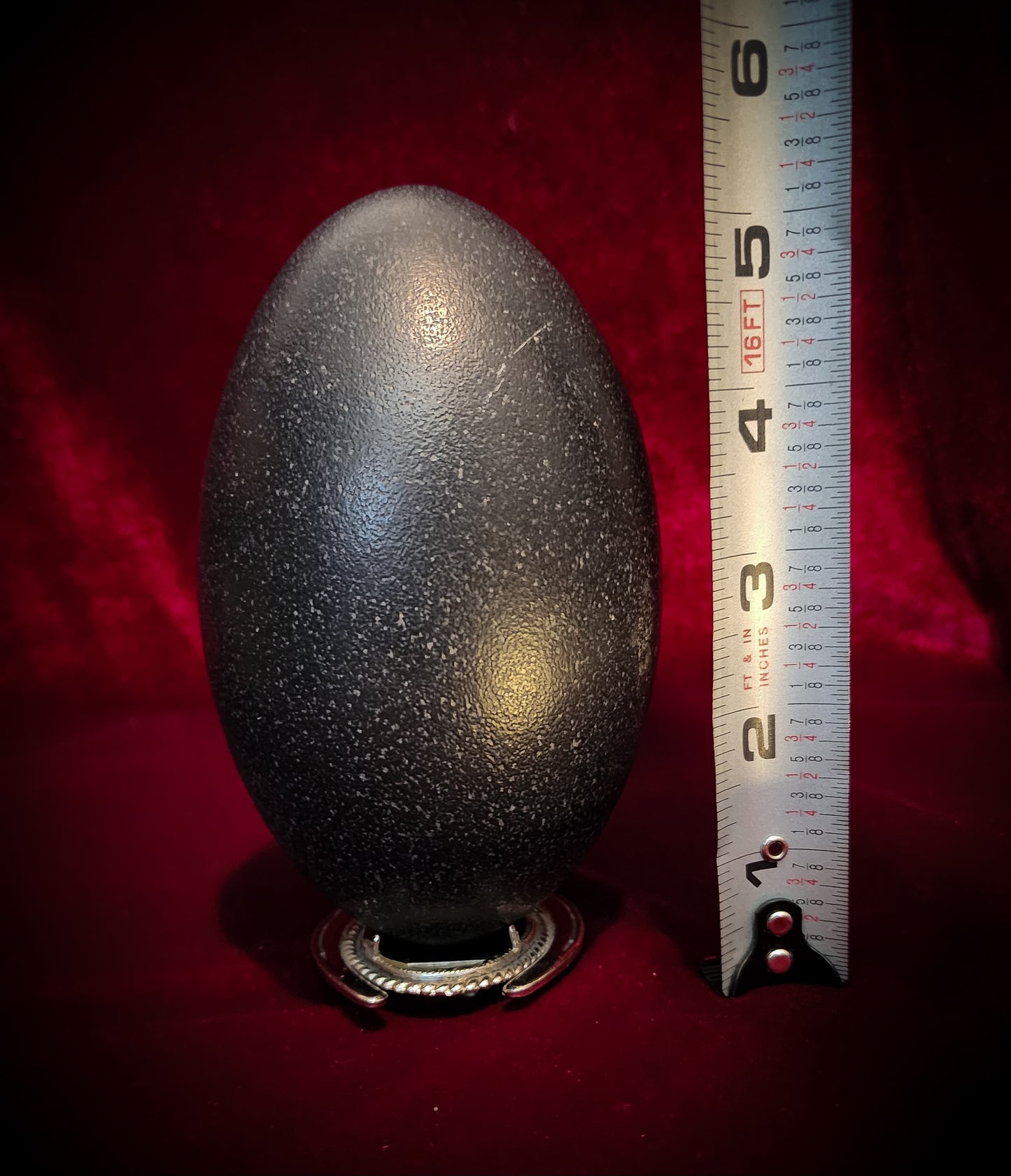 Authentic Emu Egg