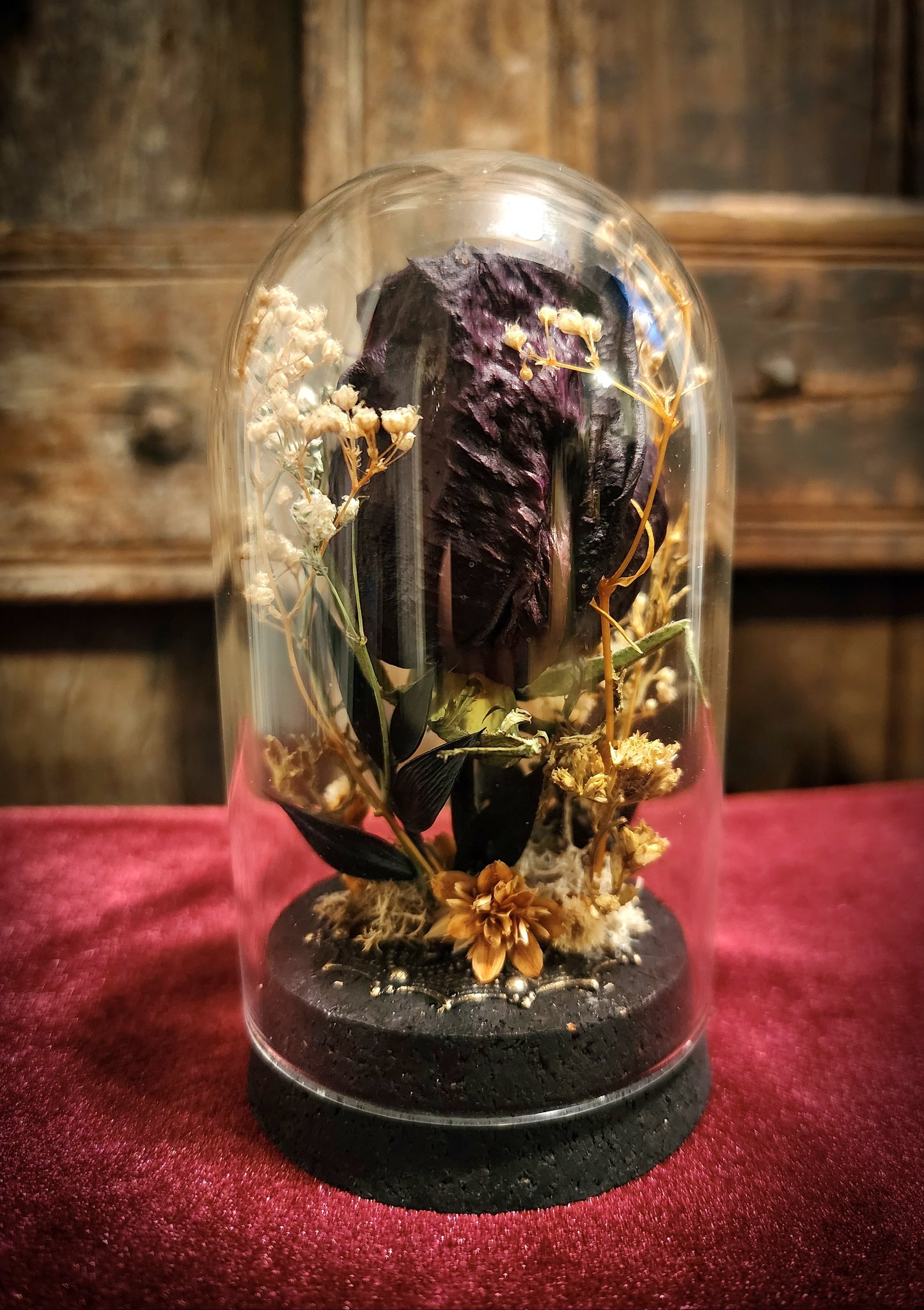 Preserved Rose Display