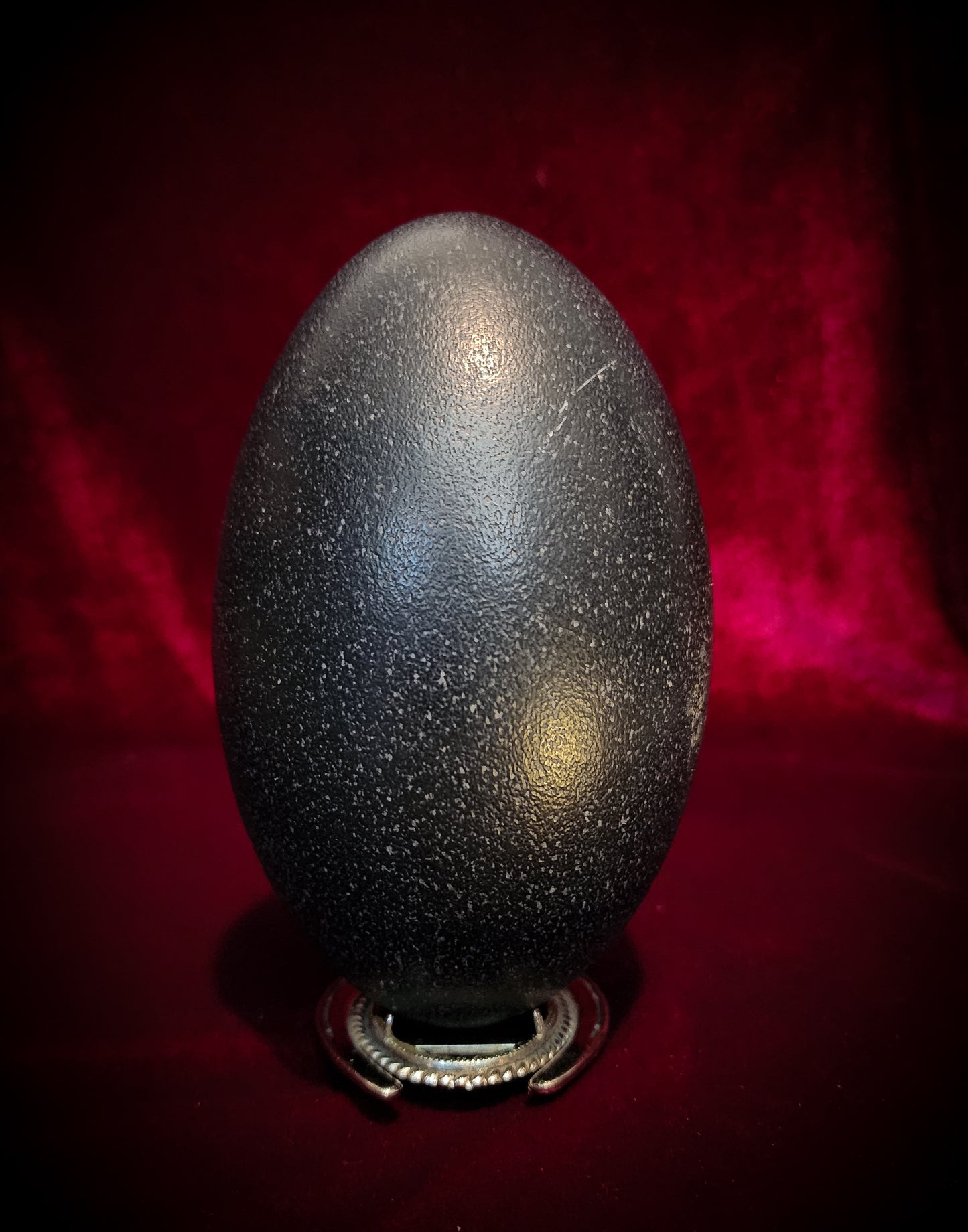 Authentic Emu Egg