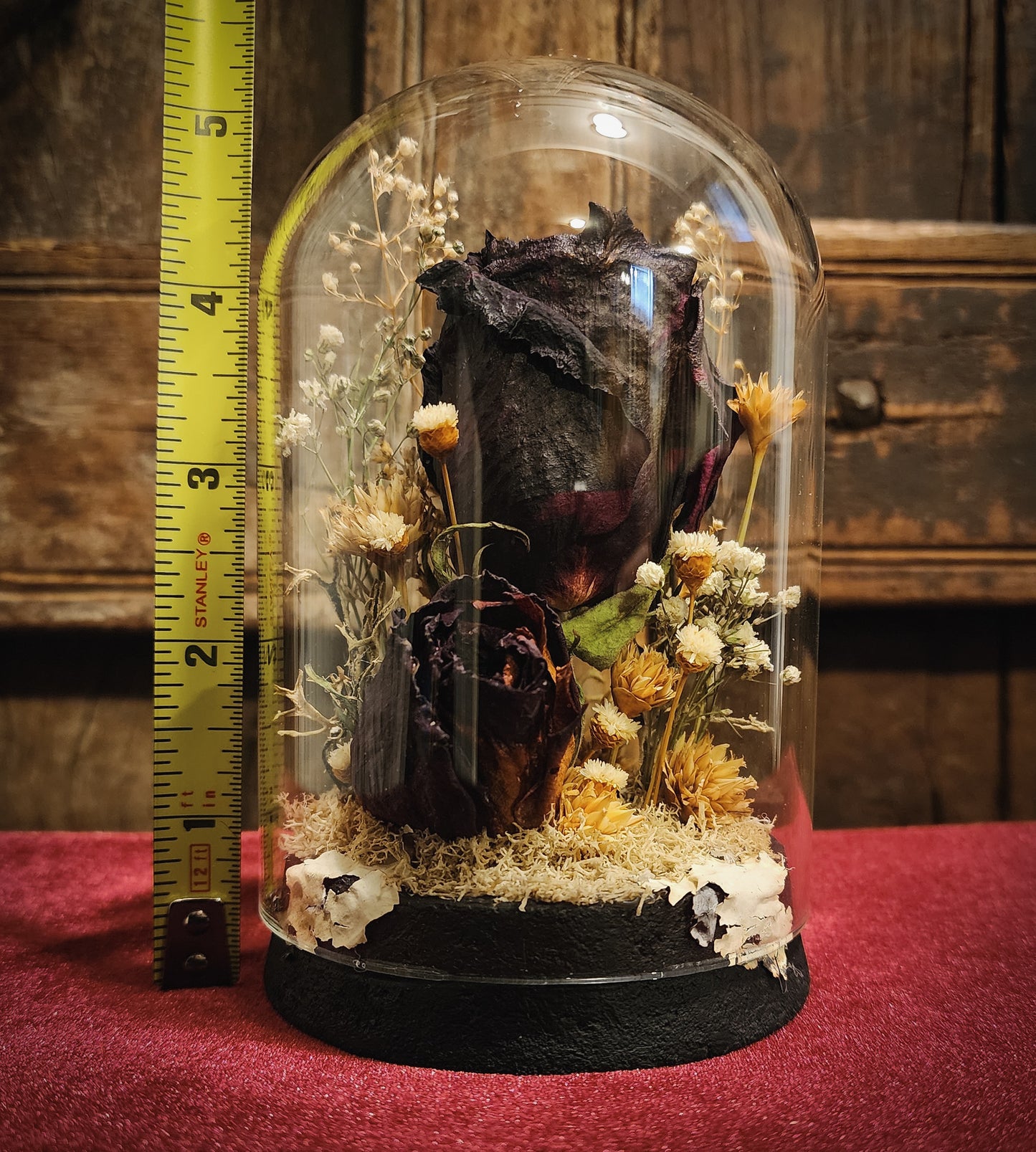 Preserved Rose Display