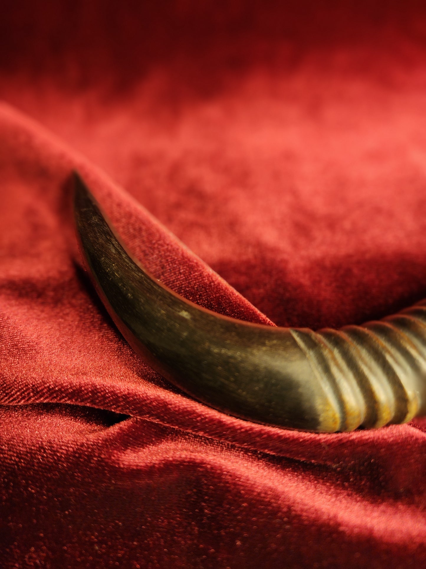 Horn Handle Magnifying Glass