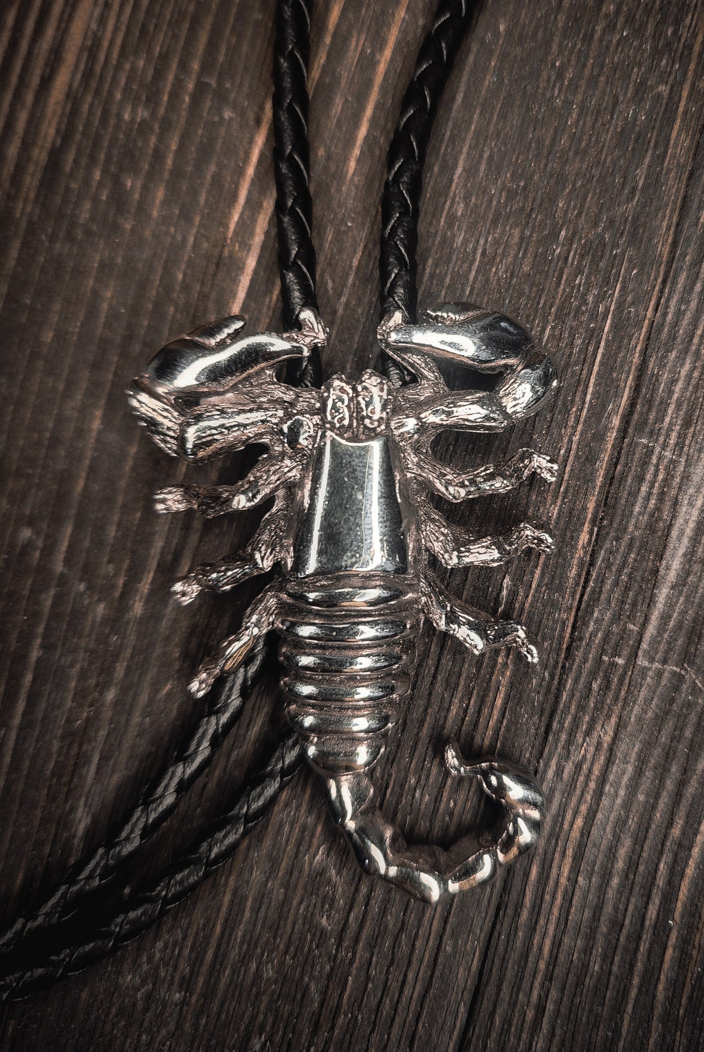 Vintage Southwestern Scorpion Bolo Tie