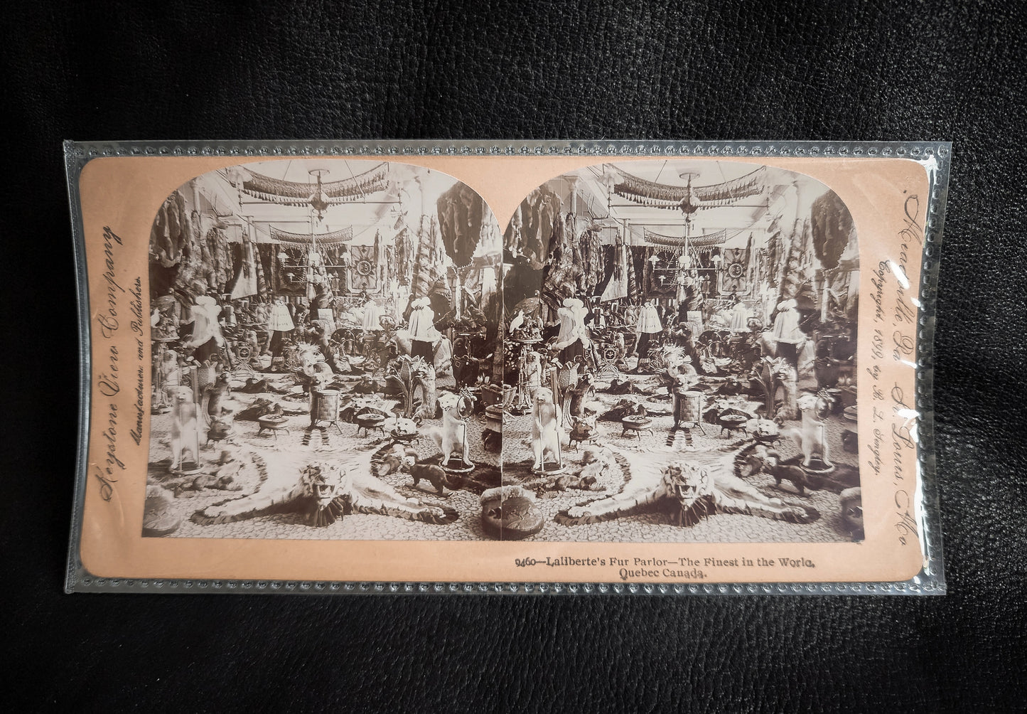1899 Fur Parlor Stereoview Photo