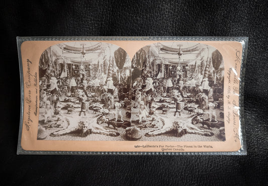 1899 Fur Parlor Stereoview Photo