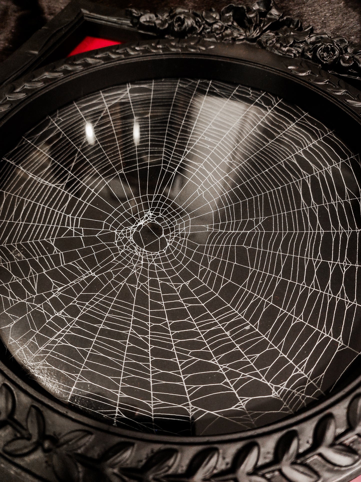 Preserved Spiderweb