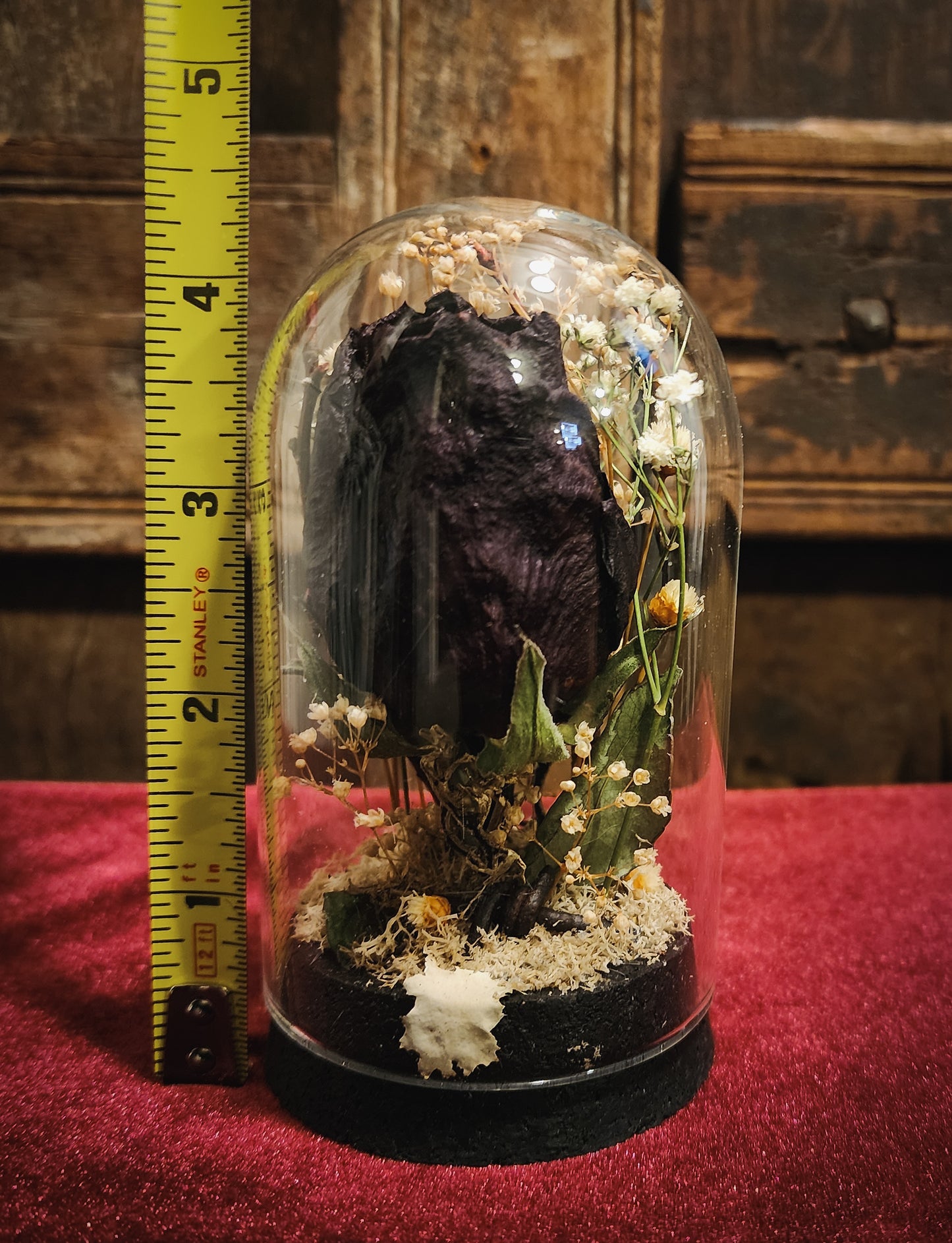 Preserved Rose Display