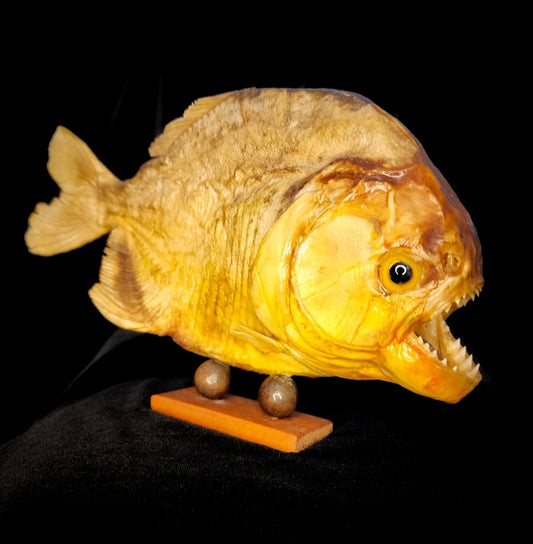 Large Vintage Taxidermy Piranha