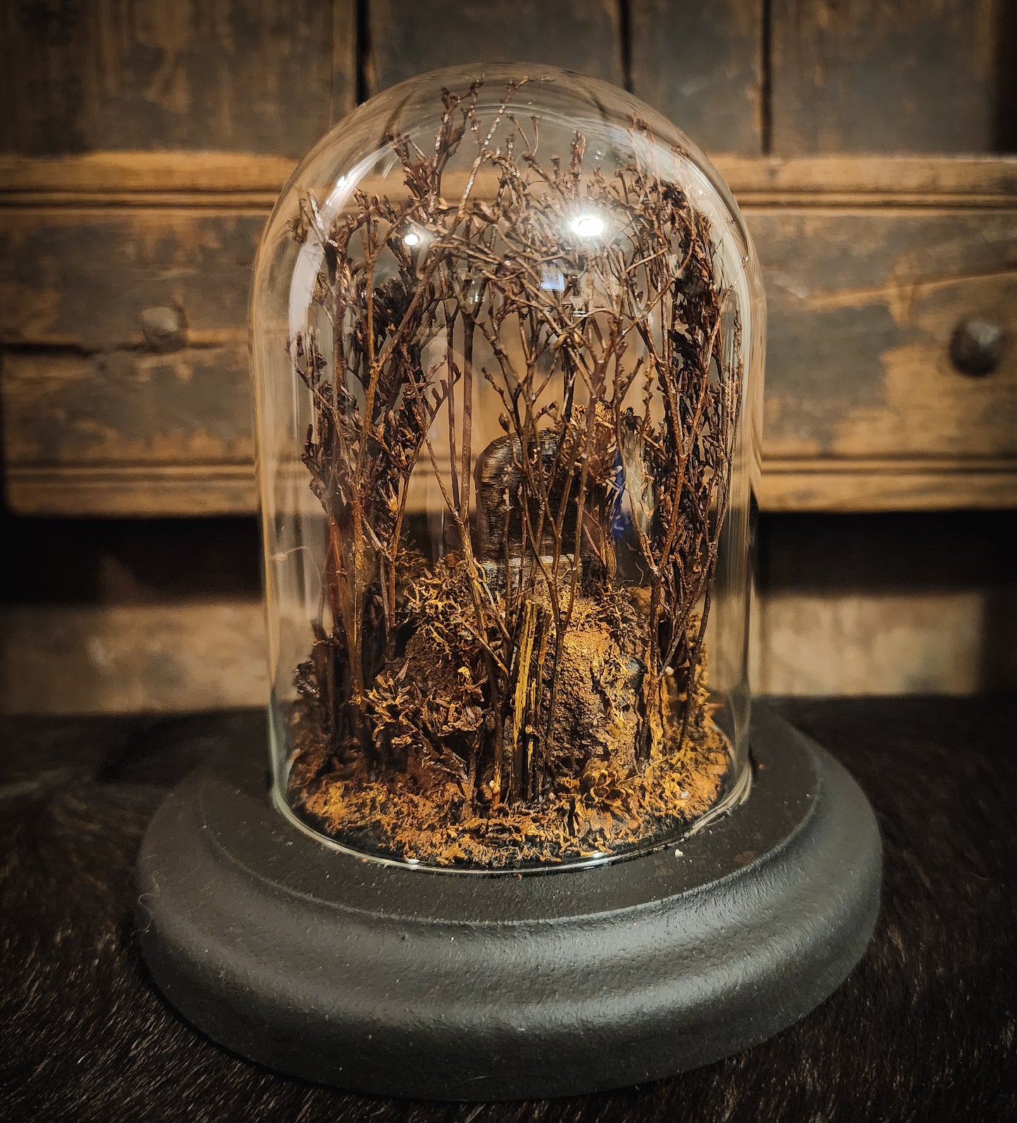 Miniature Cemetery Glass Dome Display