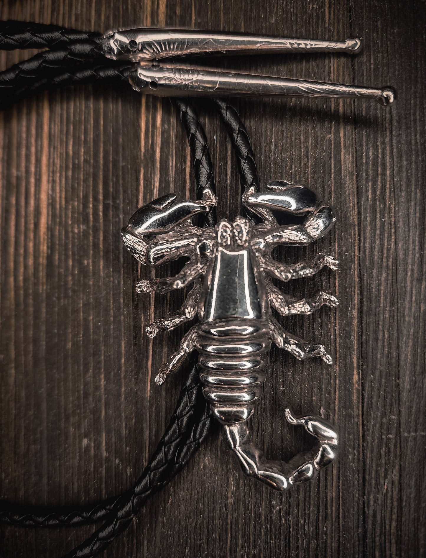 Vintage Southwestern Scorpion Bolo Tie