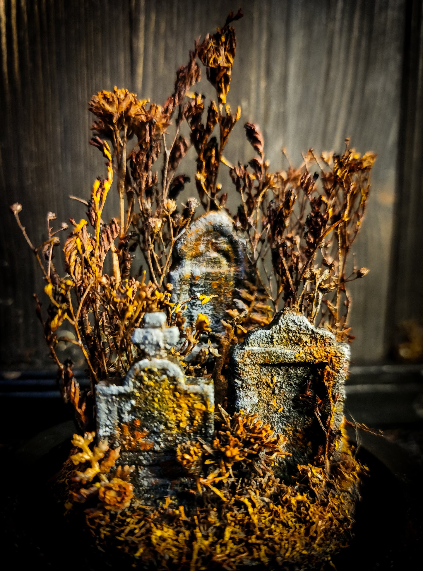 Miniature Cemetery Glass Dome Display