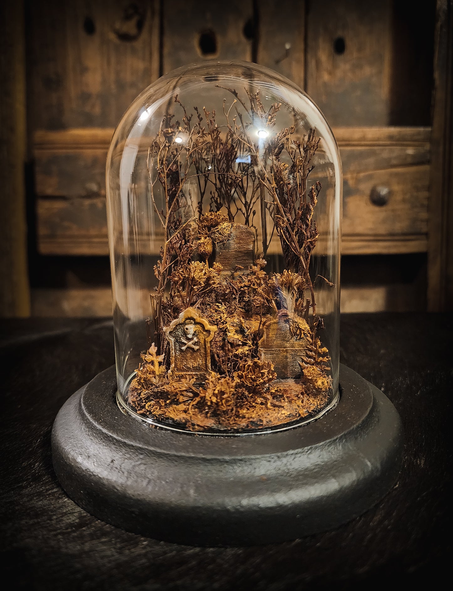 Miniature Cemetery Glass Dome Display
