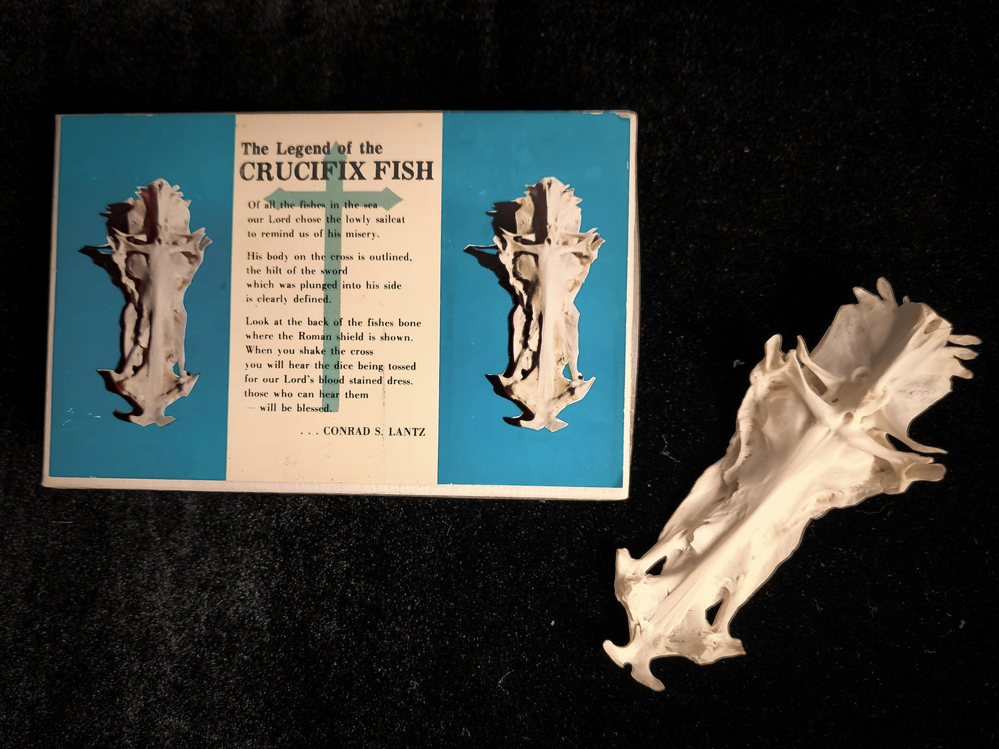 The Legend Of The Crucifix Fish