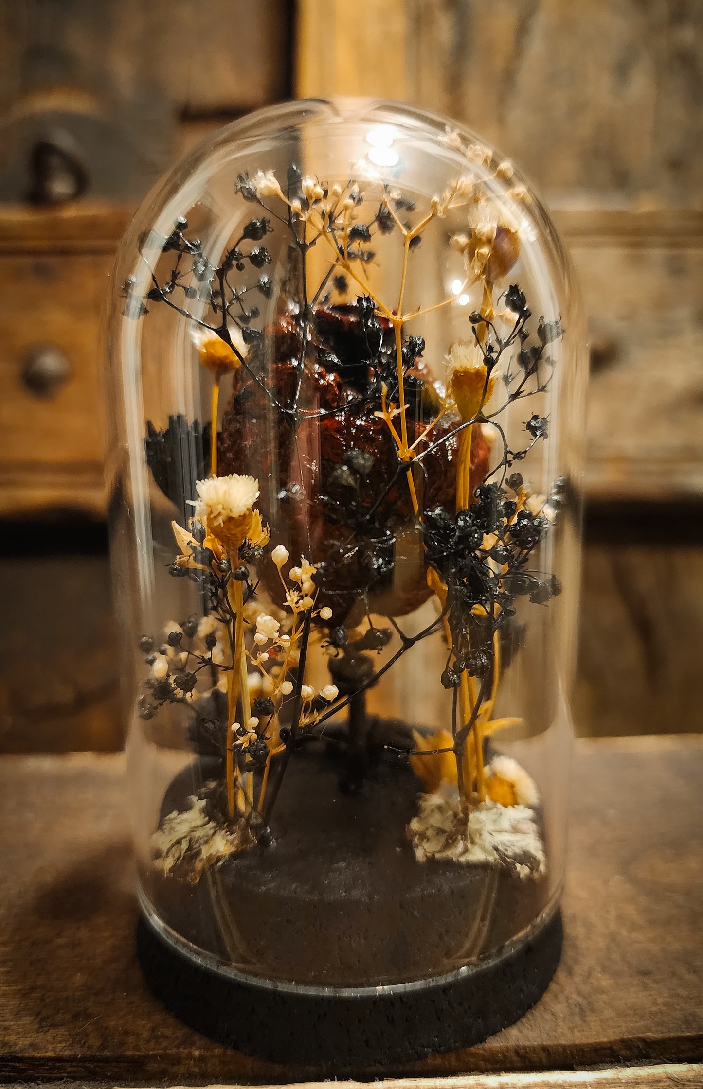 Mummified Heart Display