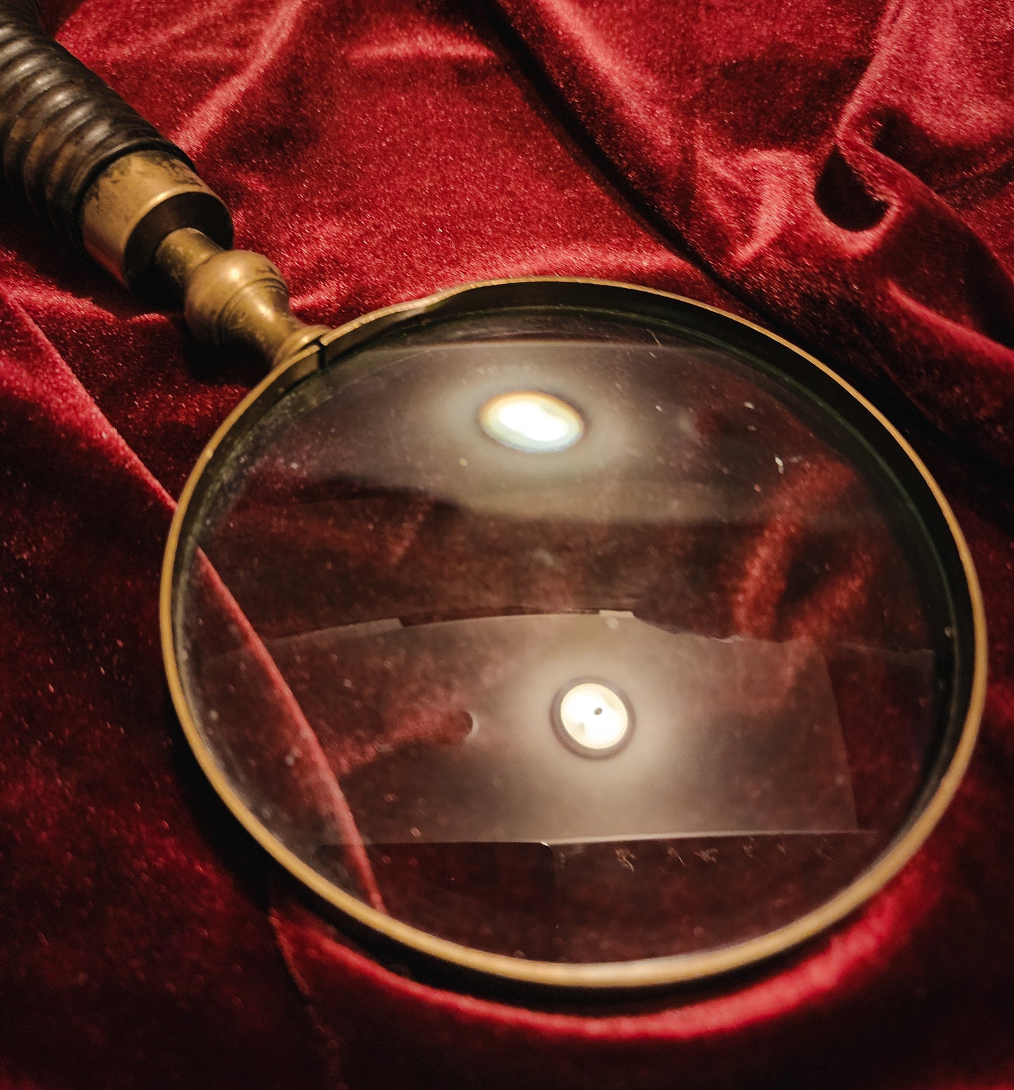 Horn Handle Magnifying Glass