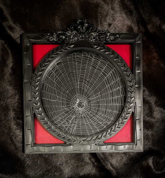 Preserved Spiderweb