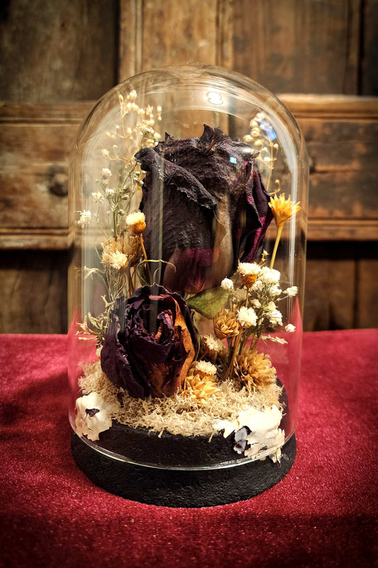 Preserved Rose Display