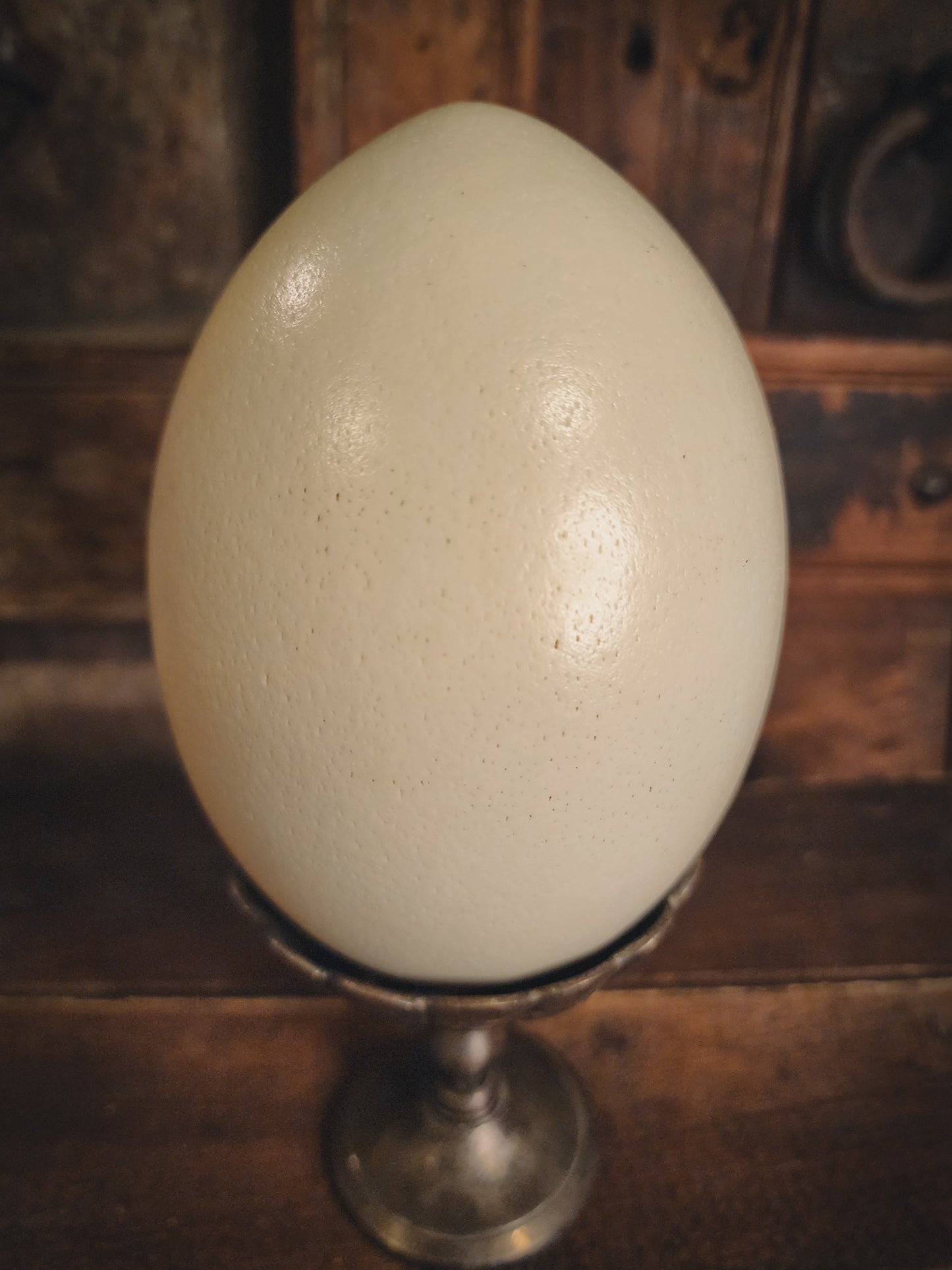 Authentic Rhea Egg