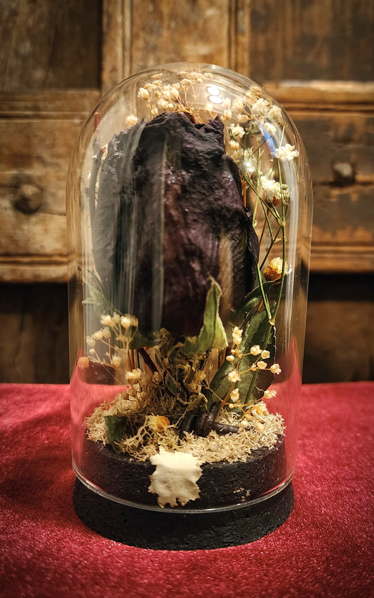 Preserved Rose Display