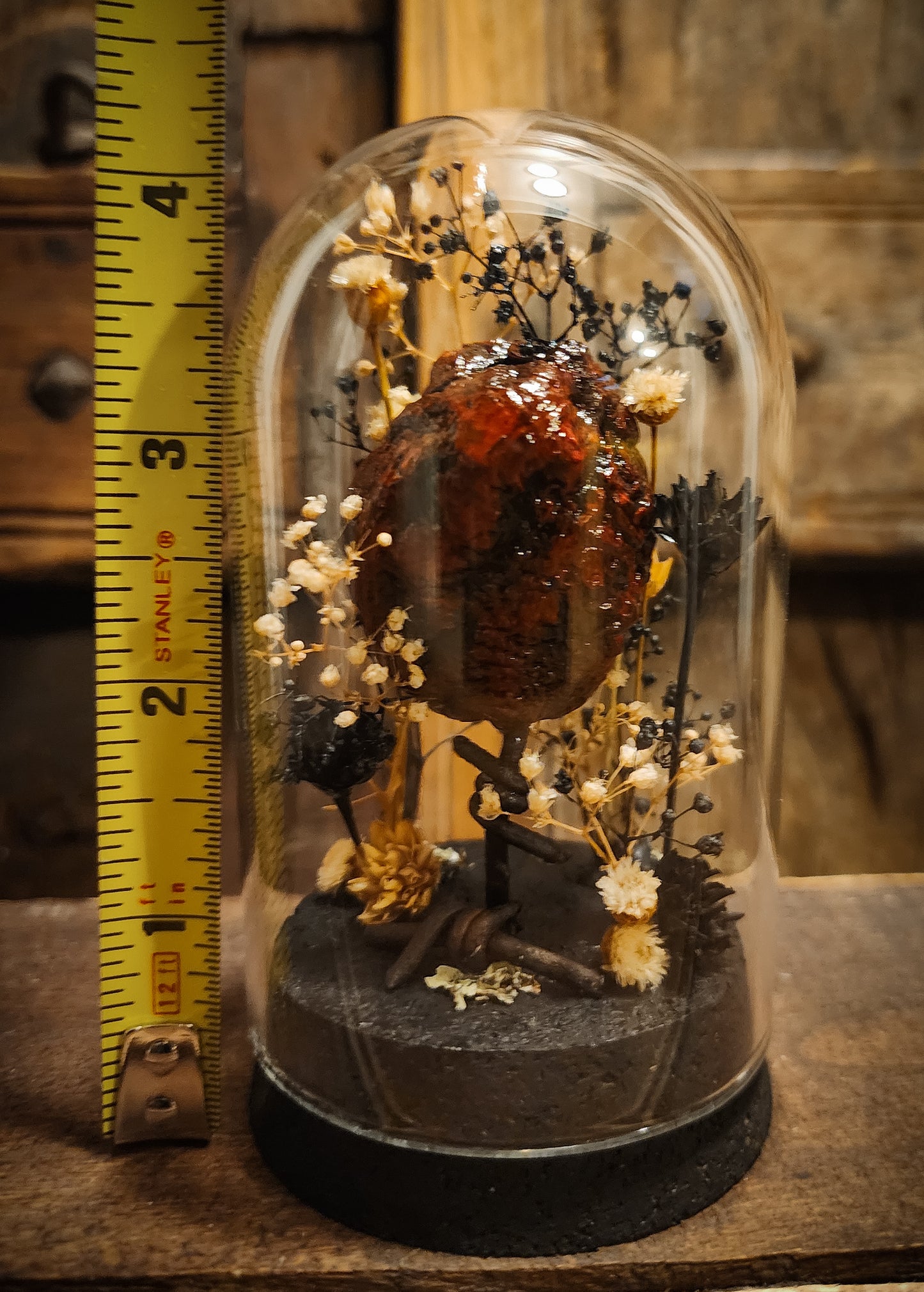 Mummified Heart Display