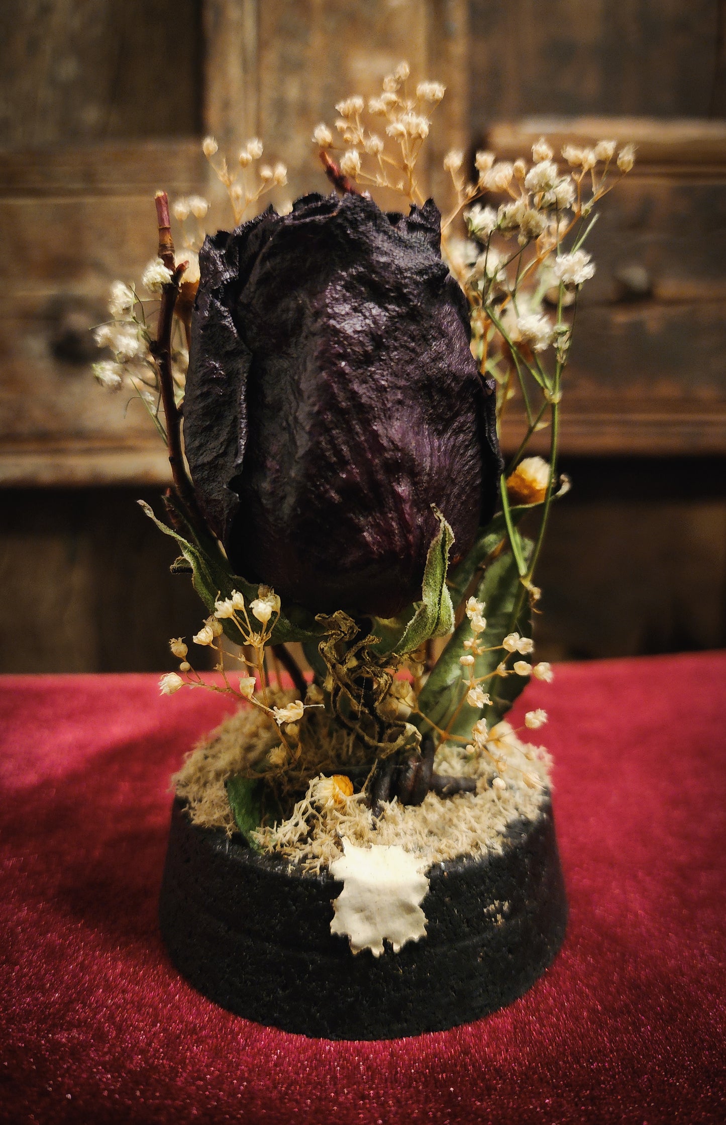 Preserved Rose Display