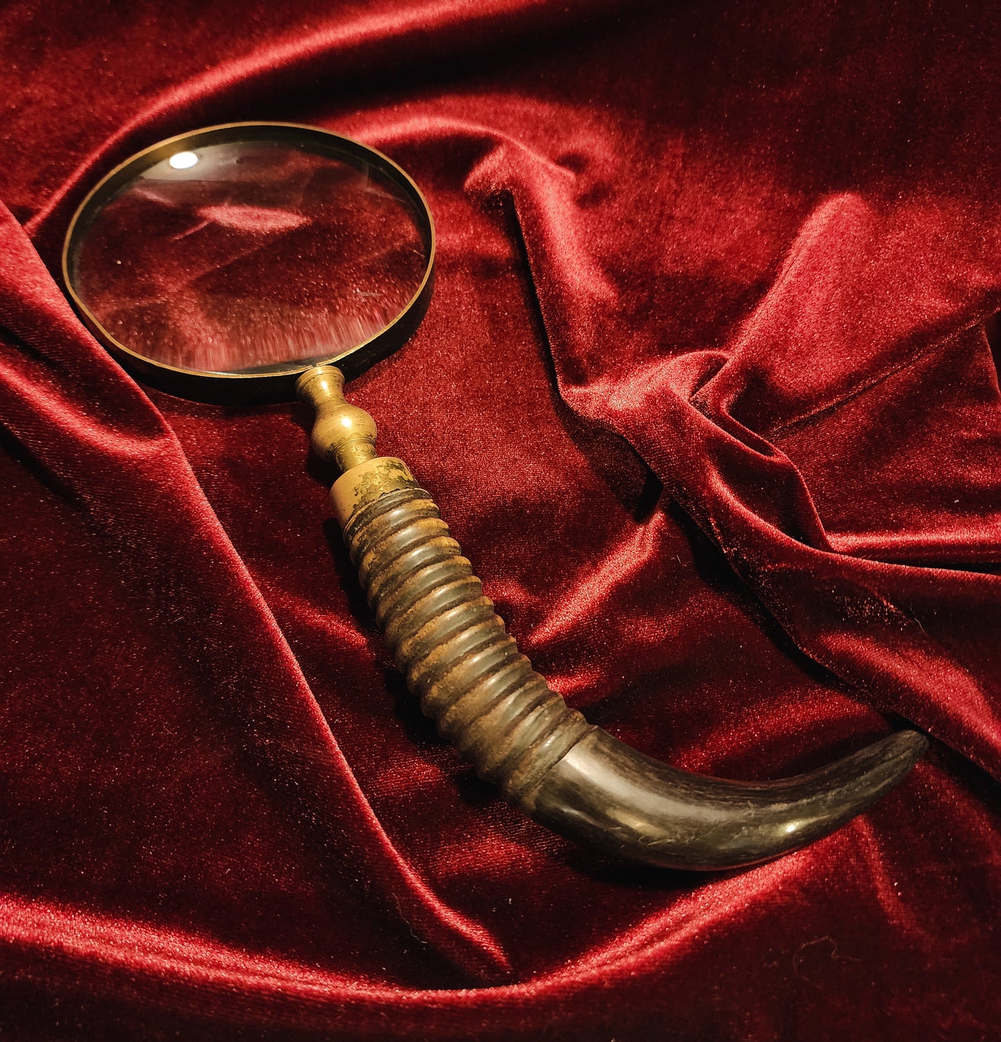 Horn Handle Magnifying Glass