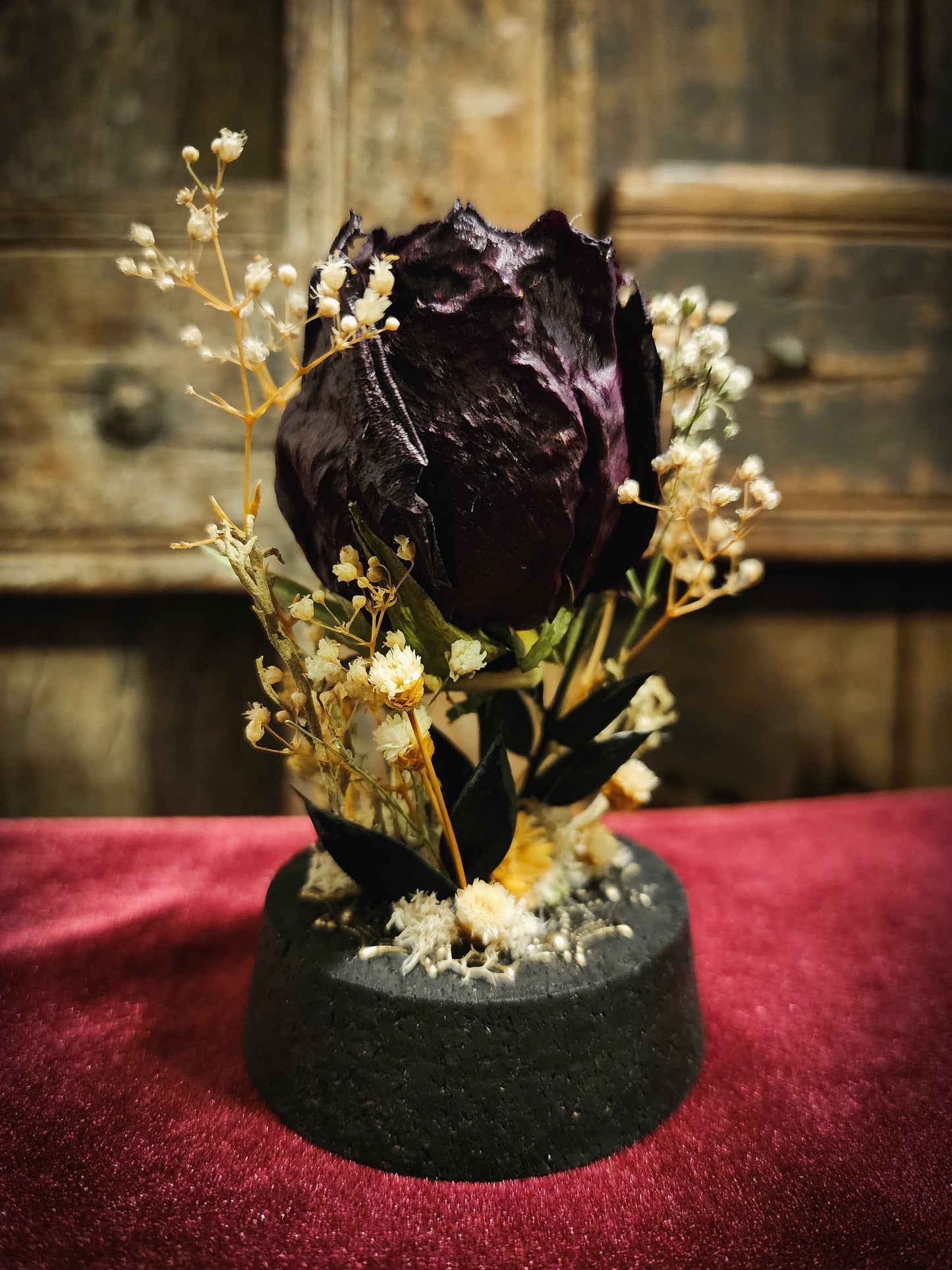 Preserved Rose Display