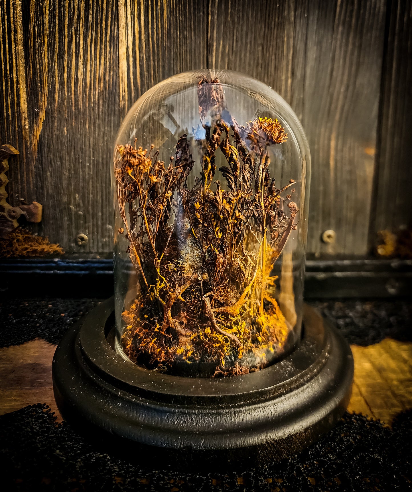 Miniature Cemetery Glass Dome Display