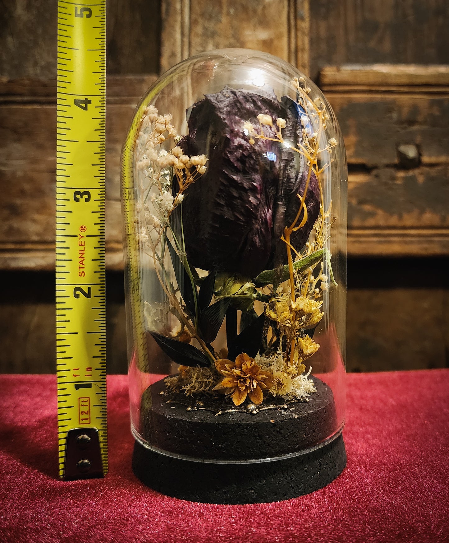 Preserved Rose Display