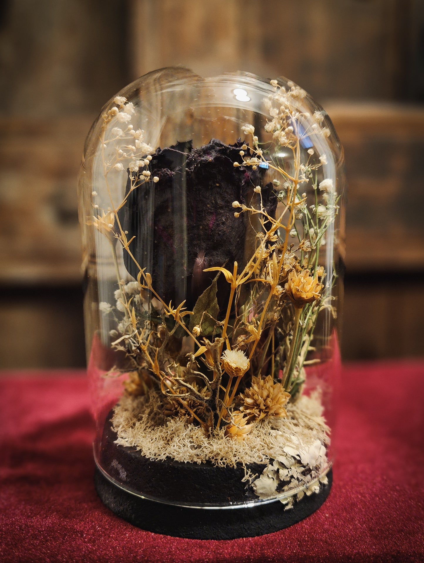 Preserved Rose Display