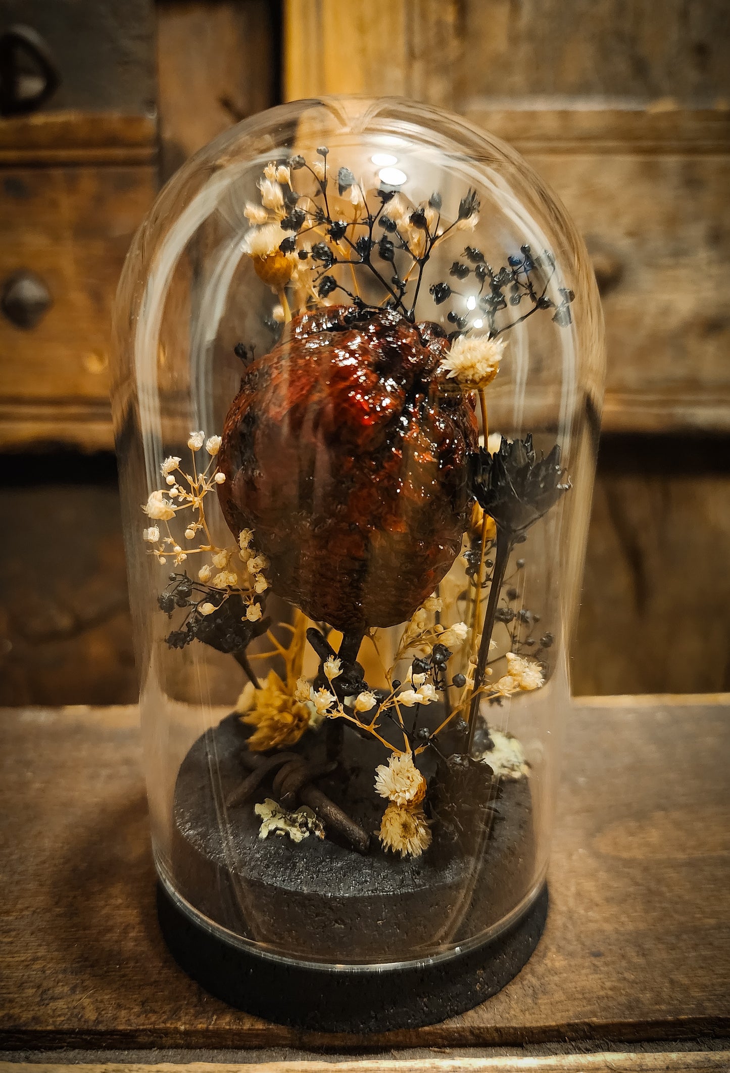 Mummified Heart Display