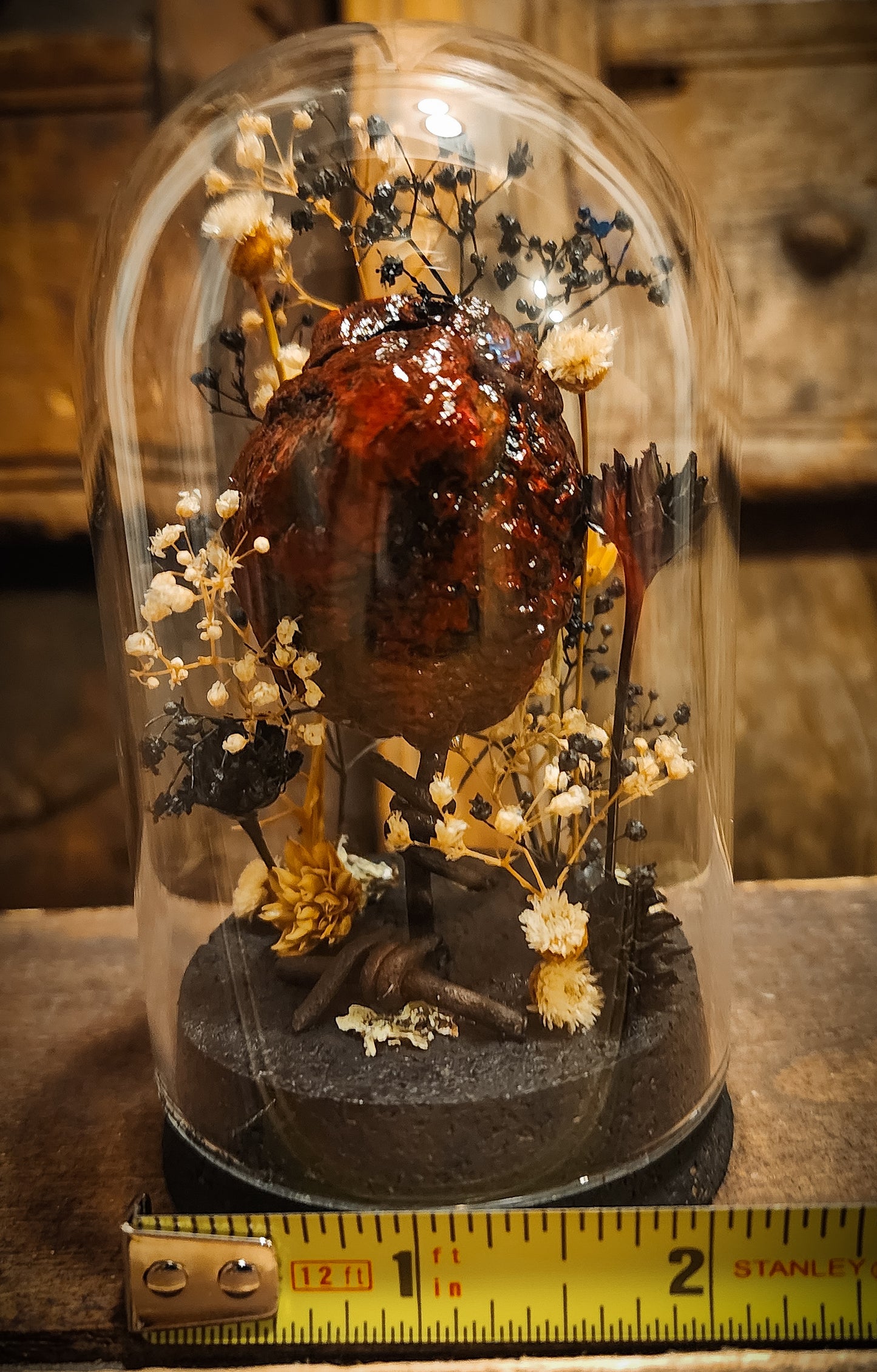 Mummified Heart Display
