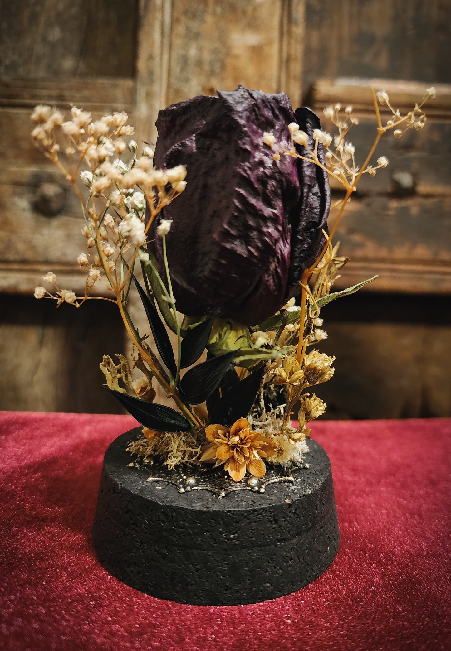 Preserved Rose Display