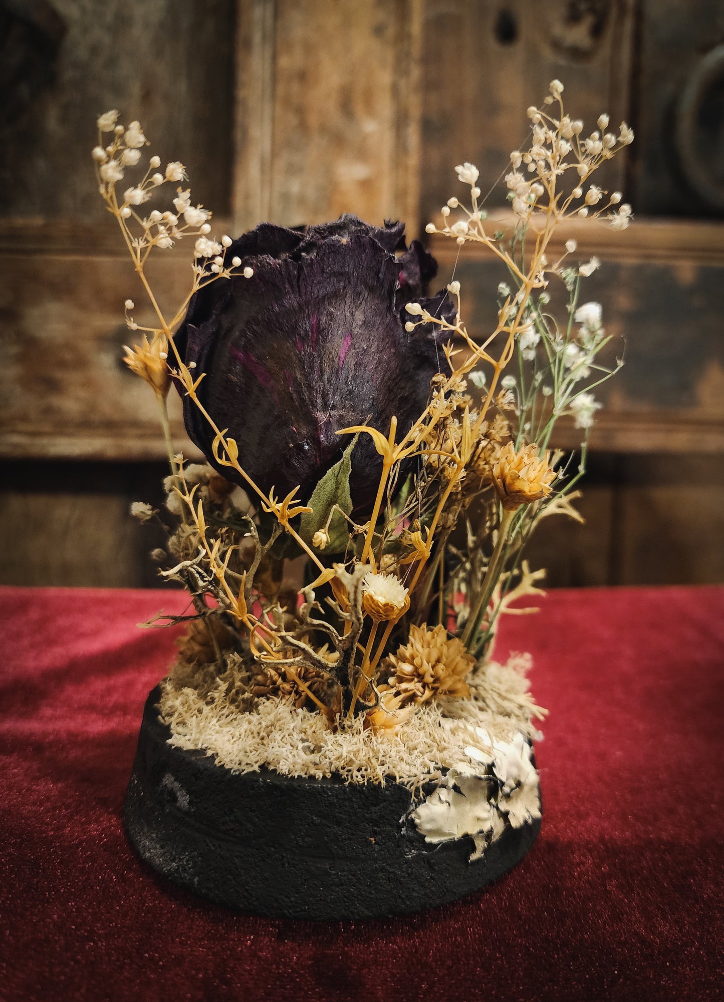 Preserved Rose Display