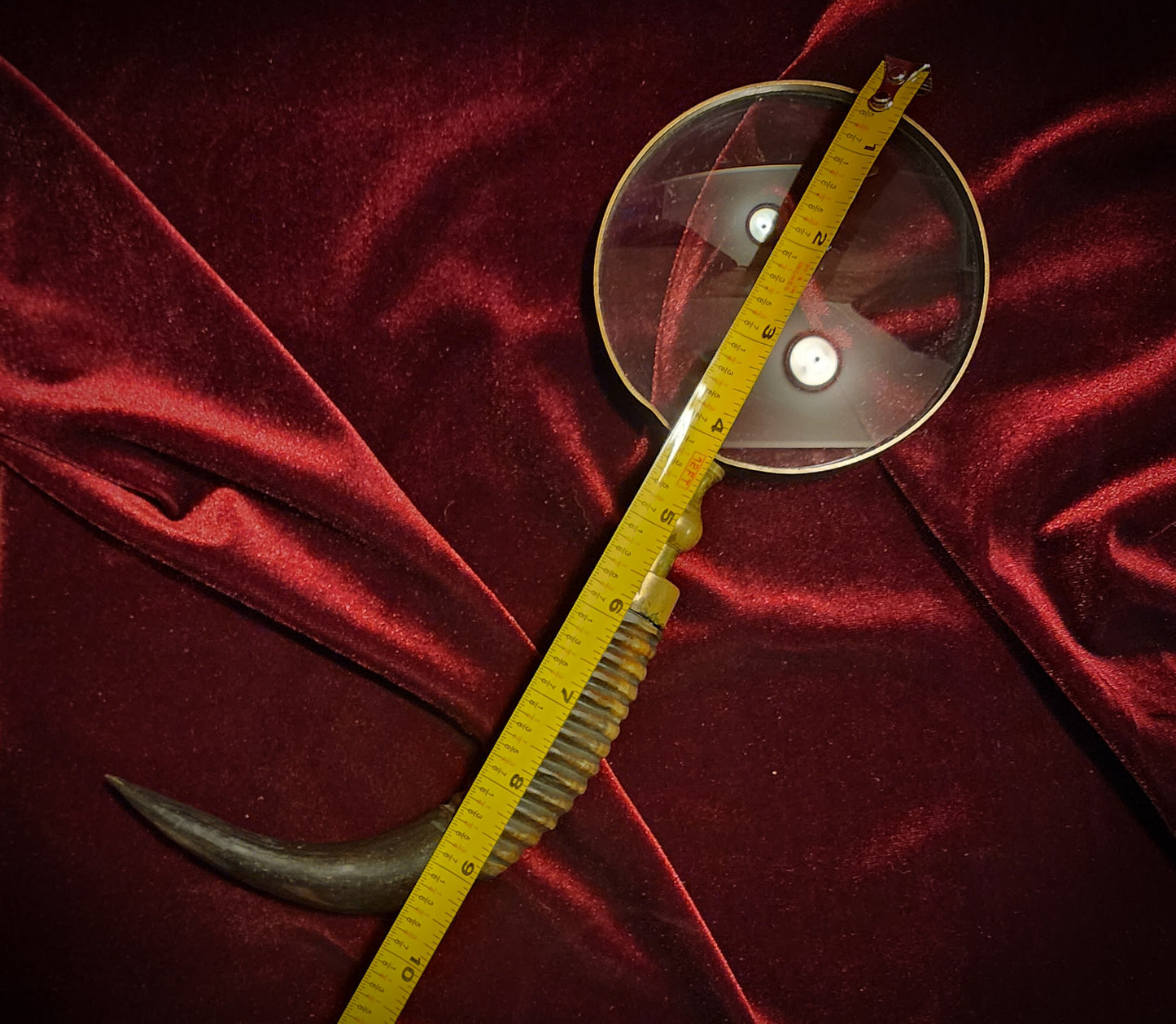 Horn Handle Magnifying Glass