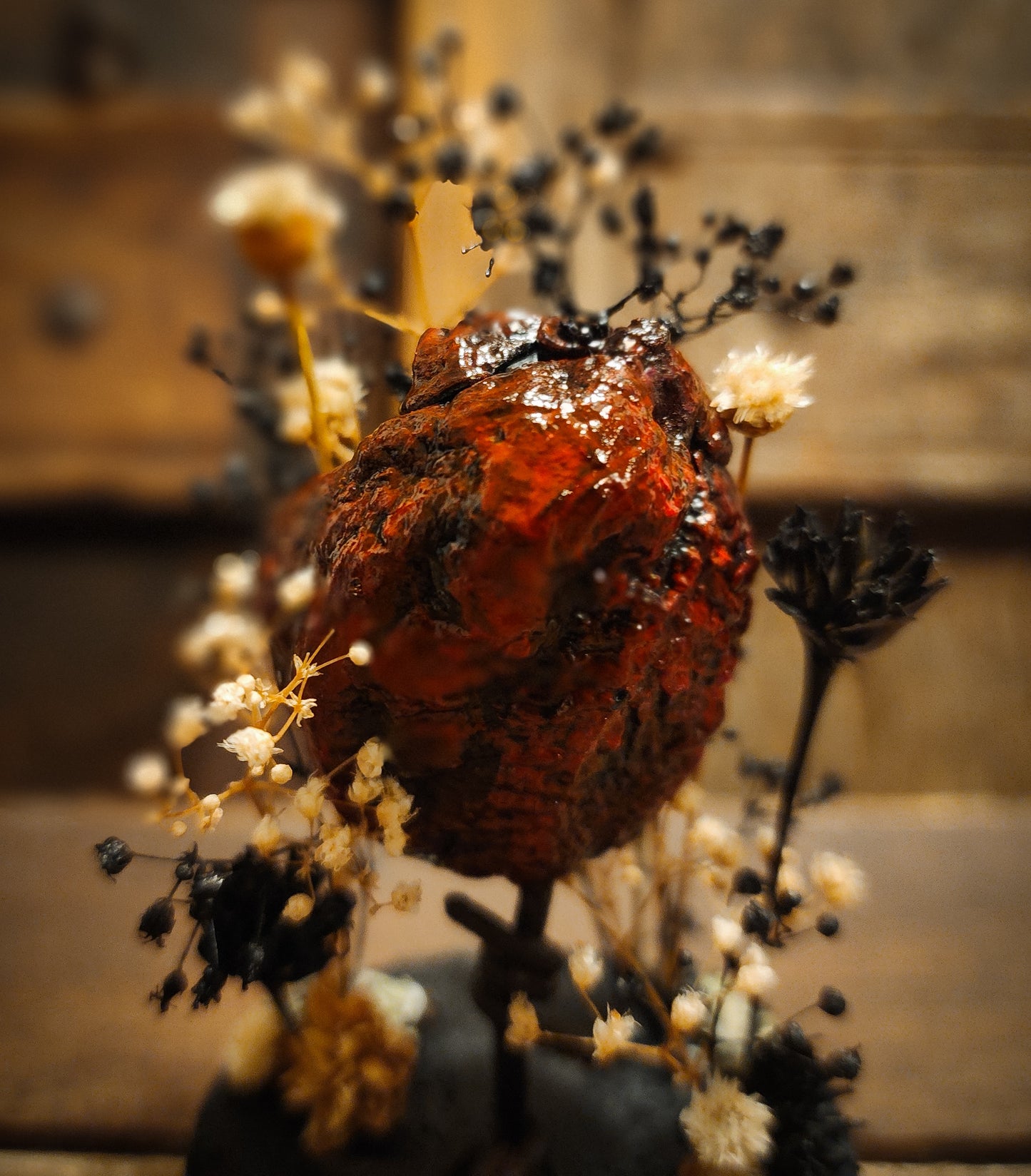 Mummified Heart Display