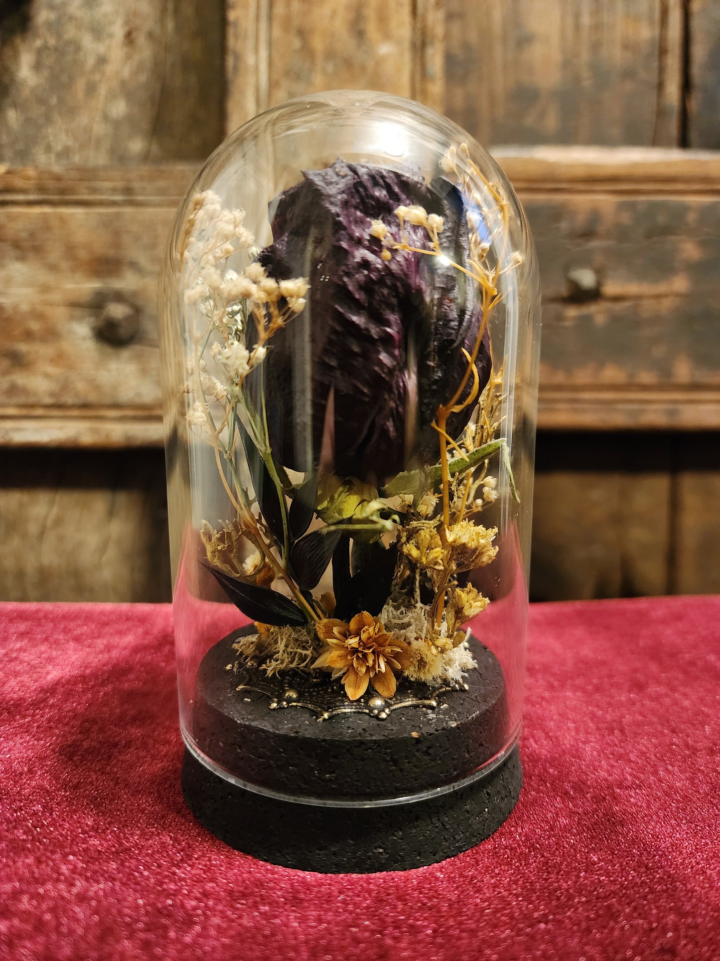 Preserved Rose Display