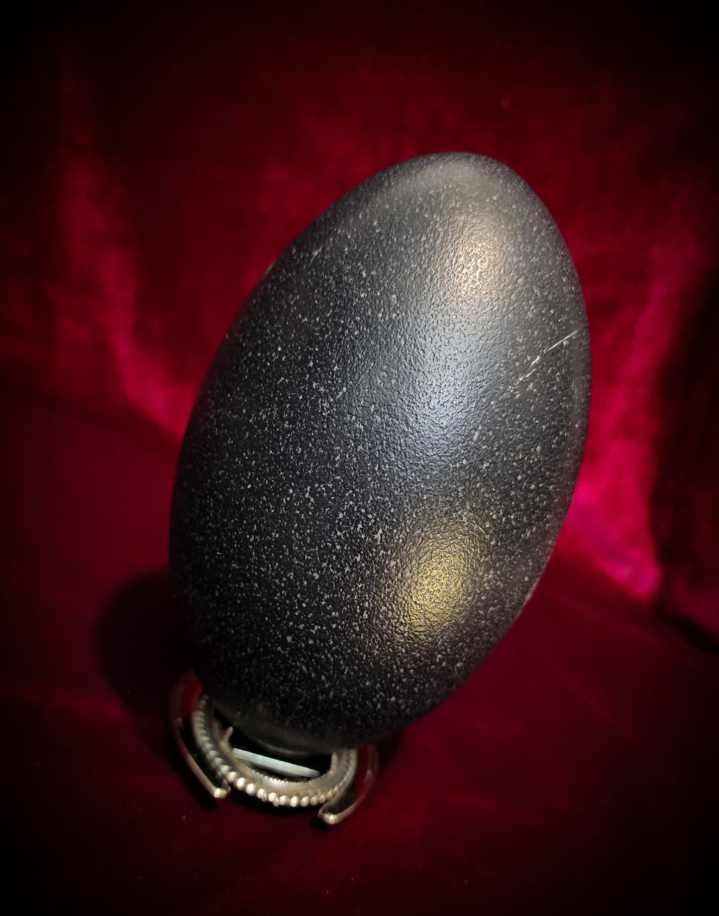 Authentic Emu Egg