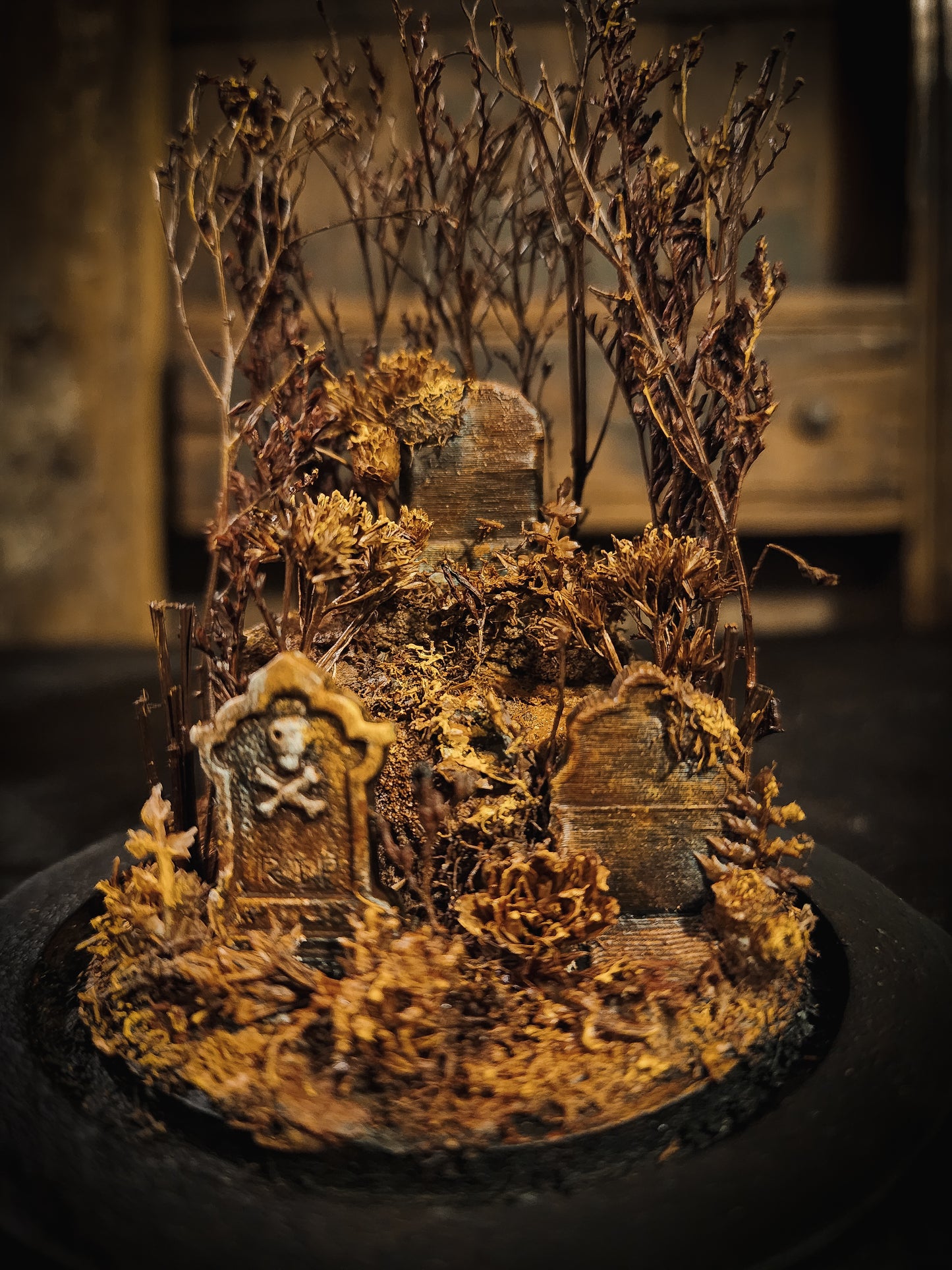 Miniature Cemetery Glass Dome Display